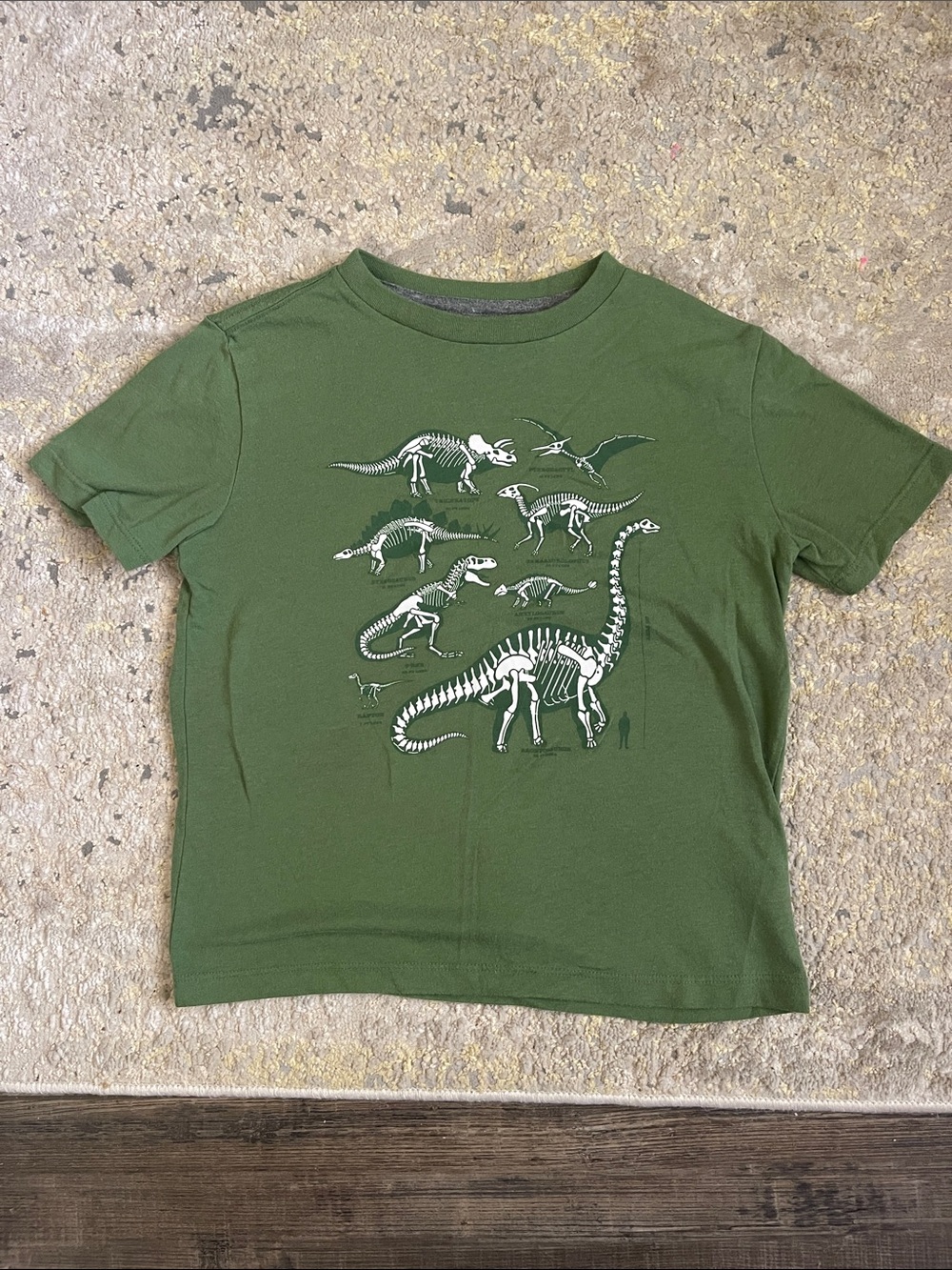 Boys old navy dinosaur shirt